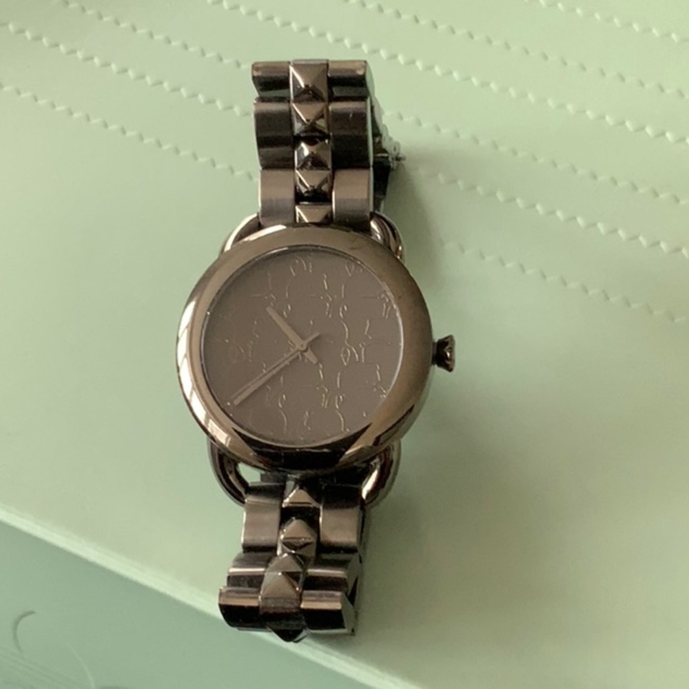 Karl Lagerfeld watch